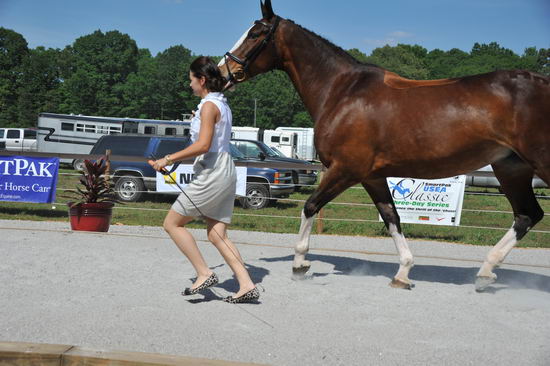 So8ths-5-3-12-1stJog-2119-KindellBillingsley-Keeneland-N3D-DDeRosaPhoto