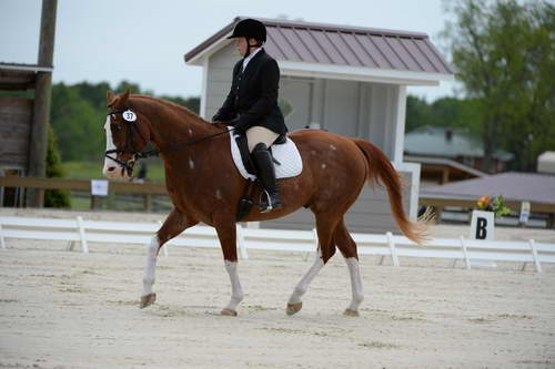 So8ths-5-3-13-Dressage-5324-ErinHite-Codachrome-DDeRosaPhoto