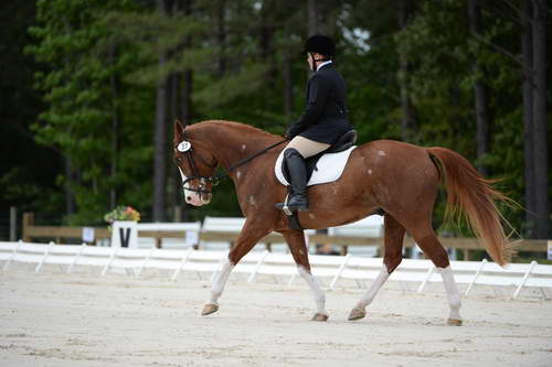 So8ths-5-3-13-Dressage-5342-ErinHite-Codachrome-DDeRosaPhoto