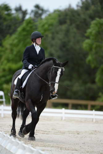 So8ths-5-3-13-Dressage-5368-LauraWellbaum-OhSullivan-DDeRosaPhoto