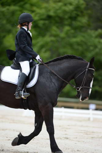 So8ths-5-3-13-Dressage-5369-LauraWellbaum-OhSullivan-DDeRosaPhoto