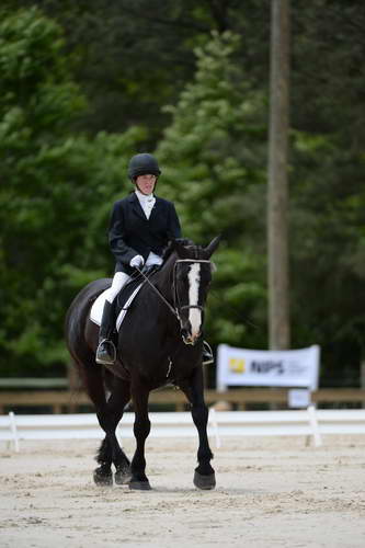 So8ths-5-3-13-Dressage-5393-LauraWellbaum-OhSullivan-DDeRosaPhoto