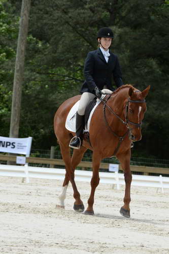 So8ths-5-3-13-Dressage-5446-PaitonKeen-WorthTheWait-DDeRosaPhoto