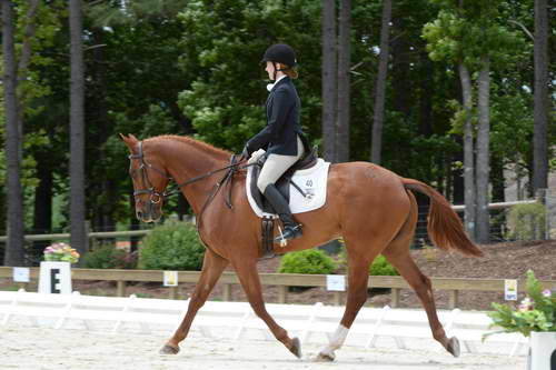 So8ths-5-3-13-Dressage-5460-PaitonKeen-WorthTheWait-DDeRosaPhoto