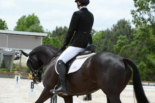 So8ths-5-3-13-Dressage-5475-KaylaAugust-MadamMayhem-DDeRosaPhoto