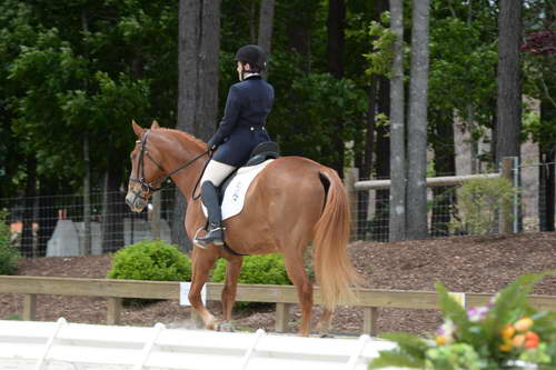 So8ths-5-3-13-Dressage-5527-CarolMahoney-MercuryRising-DDeRosaPhoto