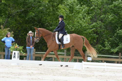 So8ths-5-3-13-Dressage-5528-CarolMahoney-MercuryRising-DDeRosaPhoto