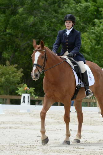 So8ths-5-3-13-Dressage-5550-CarolMahoney-MercuryRising-DDeRosaPhoto