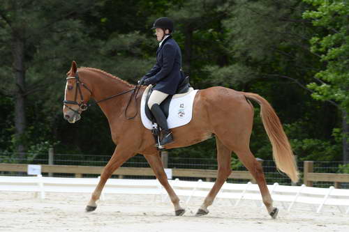 So8ths-5-3-13-Dressage-5554-CarolMahoney-MercuryRising-DDeRosaPhoto