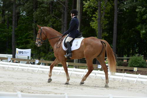 So8ths-5-3-13-Dressage-5558-CarolMahoney-MercuryRising-DDeRosaPhoto