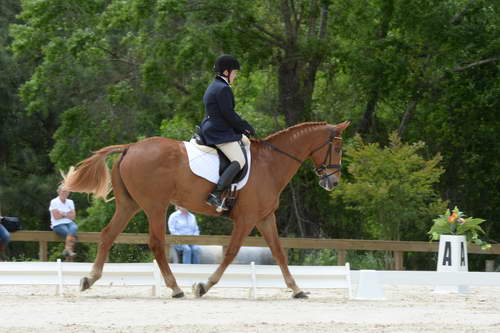 So8ths-5-3-13-Dressage-5559-CarolMahoney-MercuryRising-DDeRosaPhoto