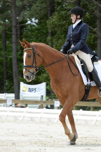 So8ths-5-3-13-Dressage-5561-CarolMahoney-MercuryRising-DDeRosaPhoto