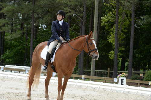 So8ths-5-3-13-Dressage-5566-CarolMahoney-MercuryRising-DDeRosaPhoto