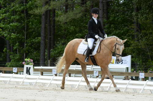 So8ths-5-3-13-Dressage-5587-TaylorPence-Goldie-DDeRosaPhoto