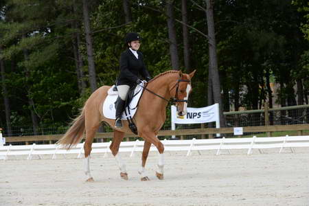 So8ths-5-3-13-Dressage-5028-SarahZimmer-MardiGras-DDeRosaPhoto