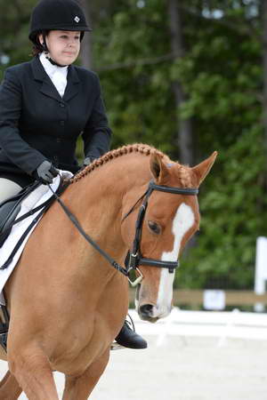 So8ths-5-3-13-Dressage-5037-SarahZimmer-MardiGras-DDeRosaPhoto