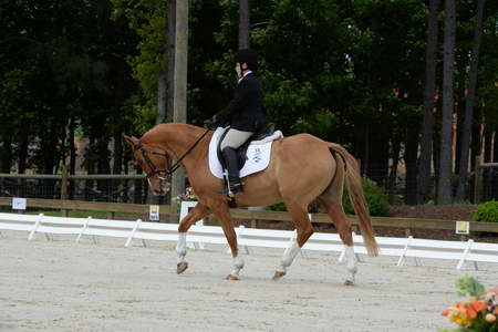 So8ths-5-3-13-Dressage-5050-SarahZimmer-MardiGras-DDeRosaPhoto