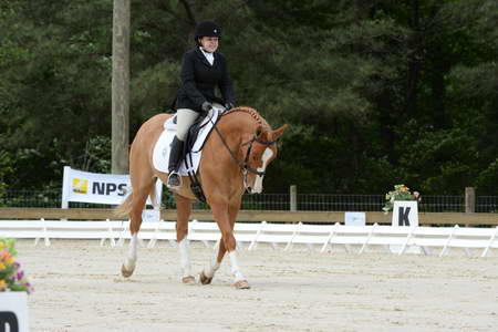 So8ths-5-3-13-Dressage-5063-SarahZimmer-MardiGras-DDeRosaPhoto