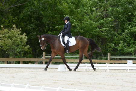 So8ths-5-3-13-Dressage-5089-SamanthaHay-TreJolie-DDeRosaPhoto