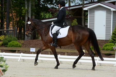 So8ths-5-3-13-Dressage-5095-SamanthaHay-TreJolie-DDeRosaPhoto