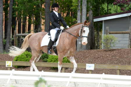 So8ths-5-3-13-Dressage-5110-BrianaTimmerman-ASplashofHenry-DDeRosaPhoto