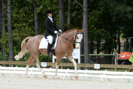 So8ths-5-3-13-Dressage-5125-BrianaTimmerman-ASplashofHenry-DDeRosaPhoto