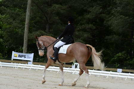 So8ths-5-3-13-Dressage-5139-BrianaTimmerman-ASplashofHenry-DDeRosaPhoto