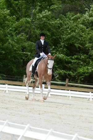 So8ths-5-3-13-Dressage-5150-BrianaTimmerman-ASplashofHenry-DDeRosaPhoto