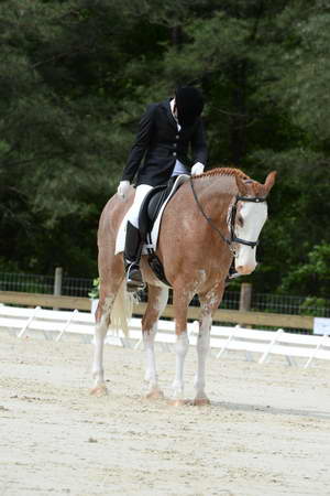 So8ths-5-3-13-Dressage-5155-BrianaTimmerman-ASplashofHenry-DDeRosaPhoto