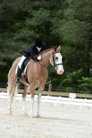 So8ths-5-3-13-Dressage-5157-BrianaTimmerman-ASplashofHenry-DDeRosaPhoto