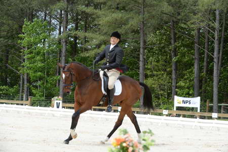 So8ths-5-3-13-Dressage-5179-MannyDiemer-Krugerrand-DDeRosaPhoto