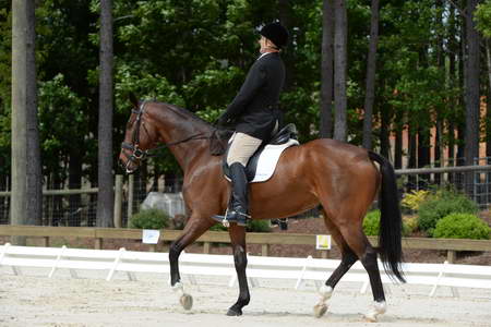 So8ths-5-3-13-Dressage-5183-MannyDiemer-Krugerrand-DDeRosaPhoto