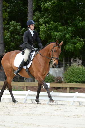 So8ths-5-3-13-Dressage-5230-TatyanaPrueter-Aberjoy-DDeRosaPhoto