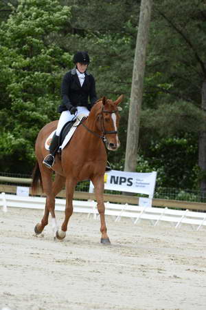 So8ths-5-3-13-Dressage-5259-SamanthaDiMaria-Valentine-DDeRosaPhoto