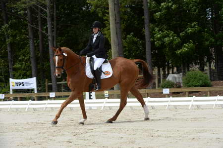 So8ths-5-3-13-Dressage-5276-SamanthaDiMaria-Valentine-DDeRosaPhoto