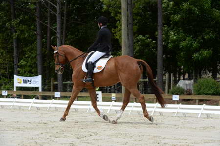 So8ths-5-3-13-Dressage-5289-SamanthaDiMaria-Valentine-DDeRosaPhoto