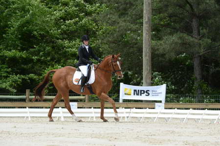 So8ths-5-3-13-Dressage-5293-SamanthaDiMaria-Valentine-DDeRosaPhoto