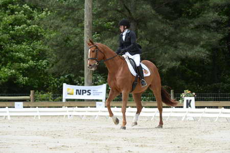 So8ths-5-3-13-Dressage-5294-SamanthaDiMaria-Valentine-DDeRosaPhoto