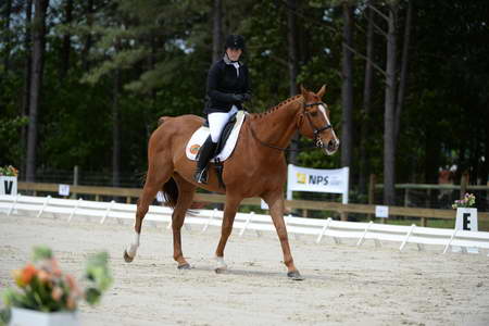 So8ths-5-3-13-Dressage-5310-SamanthaDiMaria-Valentine-DDeRosaPhoto