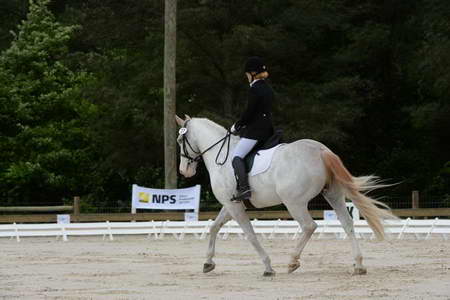 So8ths-5-3-13-Dressage-4880-LaurieWettstone-Moonstruck-DDeRosaPhoto