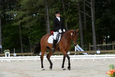 So8ths-5-3-13-Dressage-4936-KathyViele-Matariki-DDeRosaPhoto