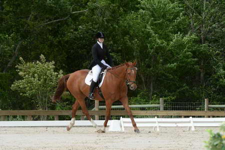 So8ths-5-3-13-Dressage-4948-SarahBaker-PoeticJustice-DDeRosaPhoto