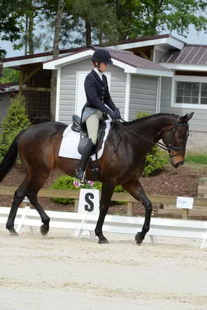 So8ths-5-3-13-Dressage-4990-KaitlynnMosing-Powerhound-DDeRosaPhoto