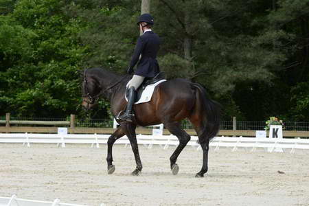 So8ths-5-3-13-Dressage-4998-KaitlynnMosing-Powerhound-DDeRosaPhoto