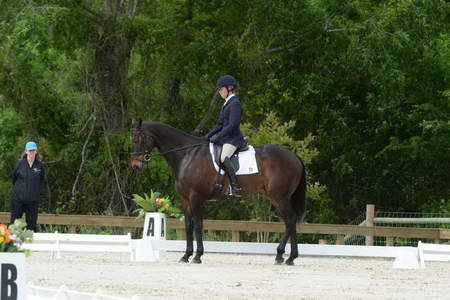 So8ths-5-3-13-Dressage-5005-KaitlynnMosing-Powerhound-DDeRosaPhoto