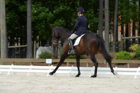 So8ths-5-3-13-Dressage-5015-KaitlynnMosing-Powerhound-DDeRosaPhoto