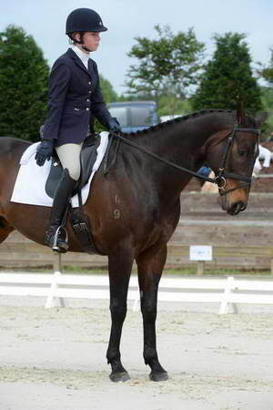 So8ths-5-3-13-Dressage-5025-KaitlynnMosing-Powerhound-DDeRosaPhoto