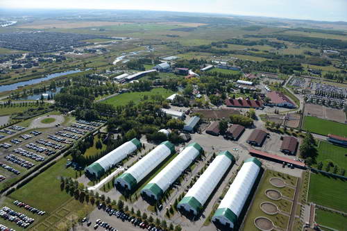 Spruce-Meadows2-9-8-13-3660-DDeRosaPhoto