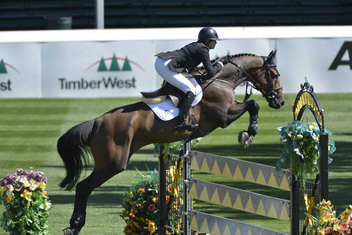 Spruce-Meadows-9-4-13-6584-TiffanyFoster-VerdiIII-CAN-DDeRosaPhoto