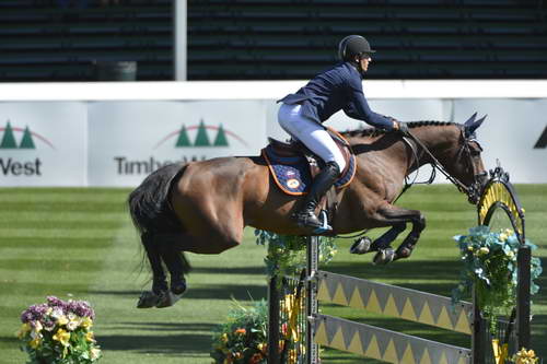 Spruce-Meadows-9-4-13-6609-NicolaPhilippaerts-EarlyMorningMist-BEL-DDeRosaPhoto